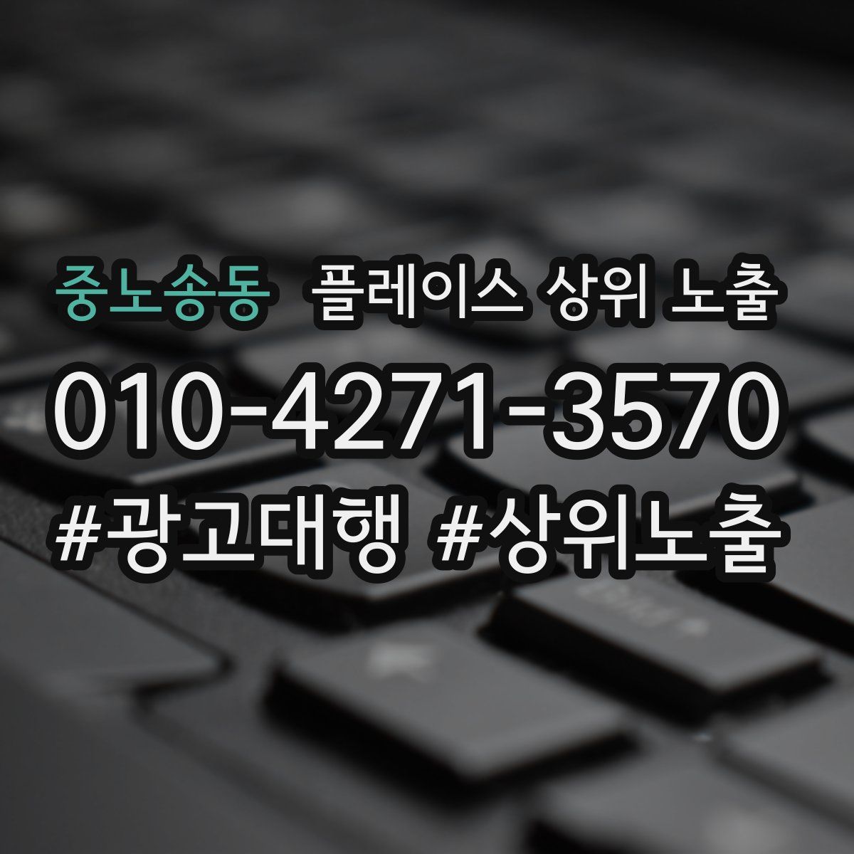 중노송동 플레이스 상위 노출 상담