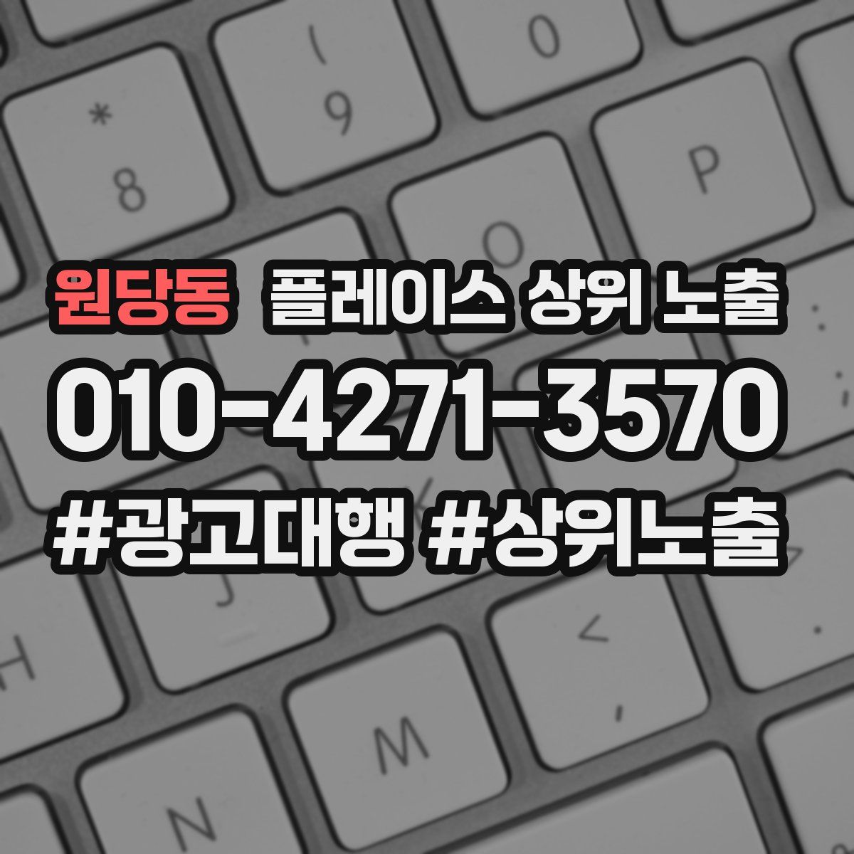 원당동 플레이스 상위 노출