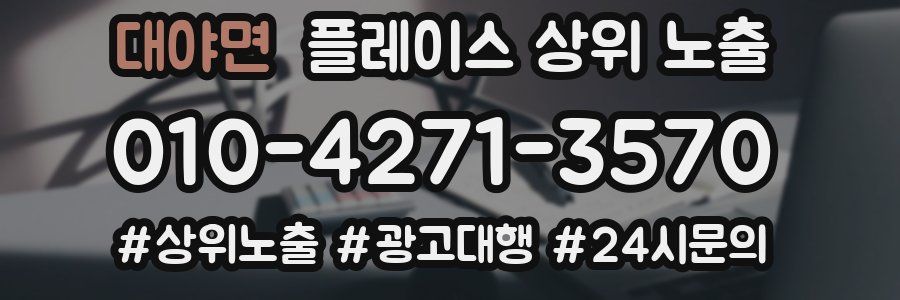 대야면 플레이스 상위 노출