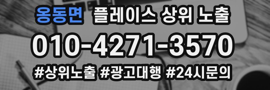 옹동면 플레이스 상위 노출 상담