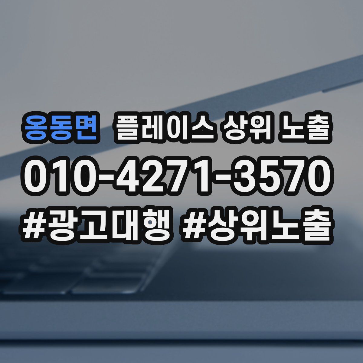 옹동면 플레이스 상위 노출 개선
