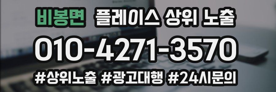 비봉면 플레이스 상위 노출 상담