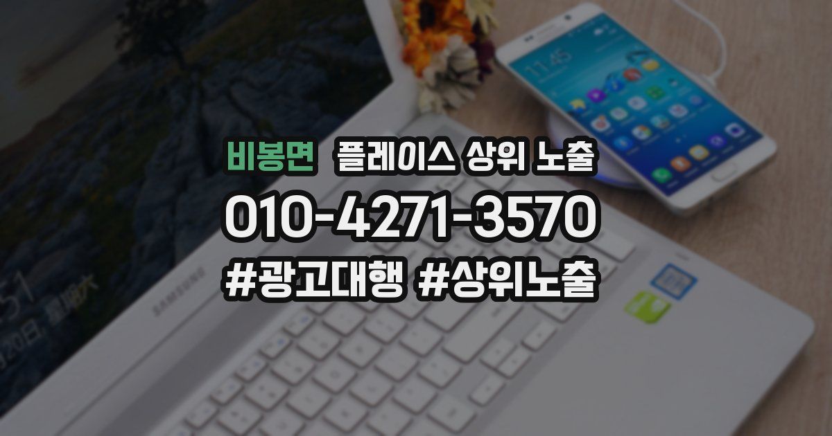 비봉면 플레이스 상위 노출 개선