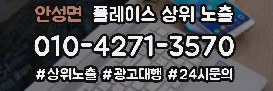 안성면 플레이스 상위 노출 상담