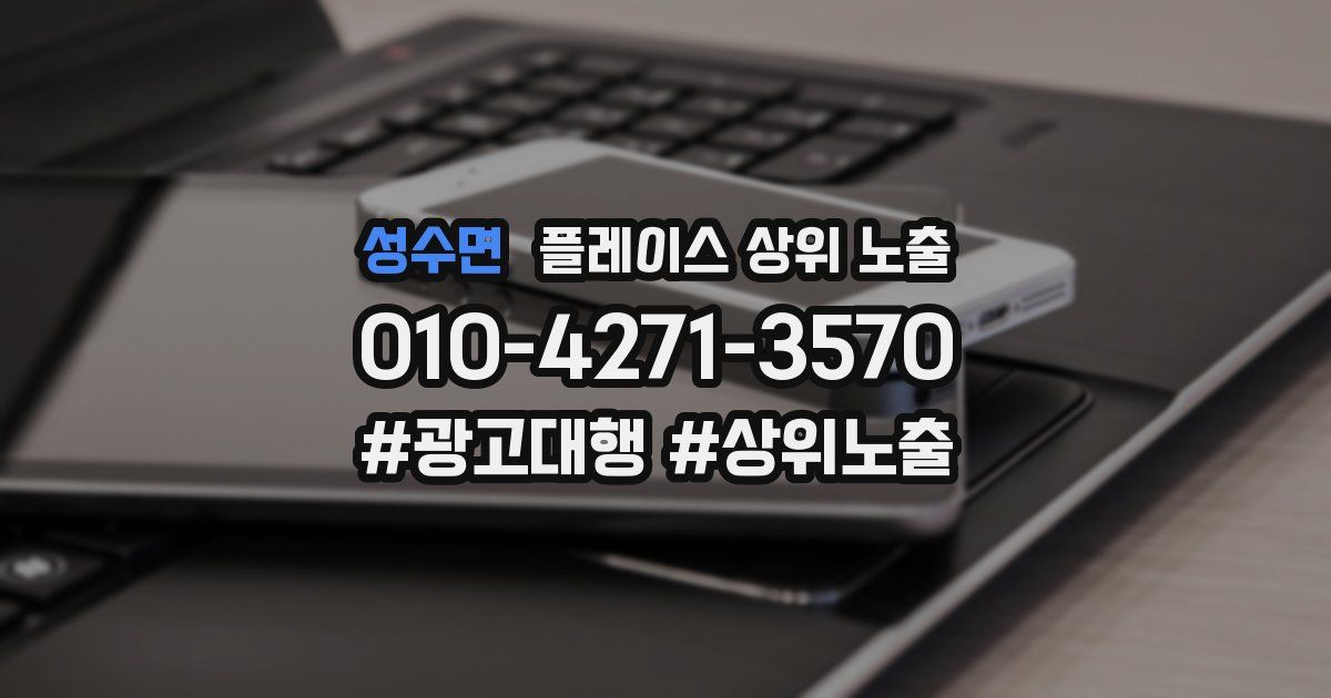 성수면 플레이스 상위 노출 안내