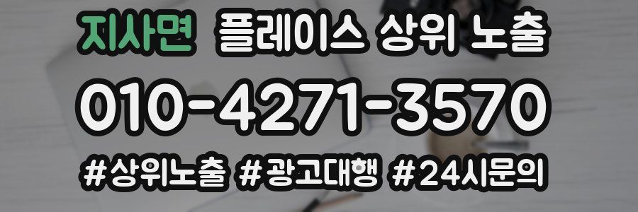 지사면 플레이스 상위 노출