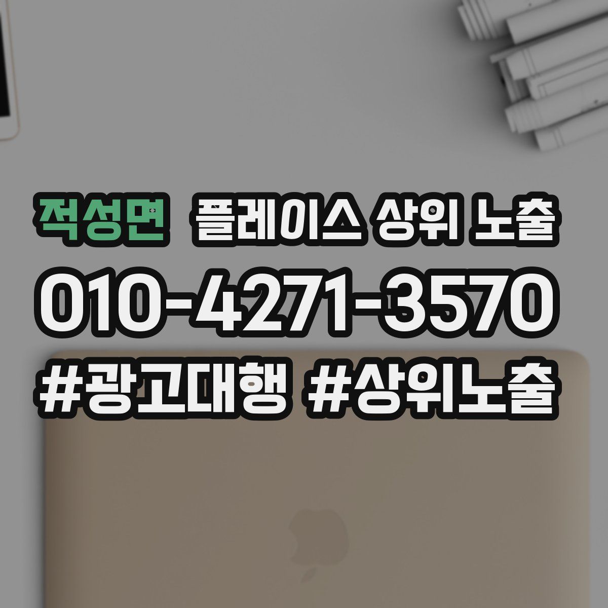 적성면 플레이스 상위 노출 안내