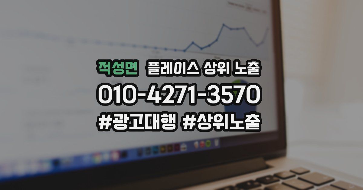 적성면 플레이스 상위 노출 가이드