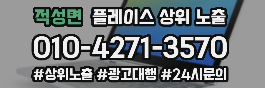 적성면 플레이스 상위 노출 안내