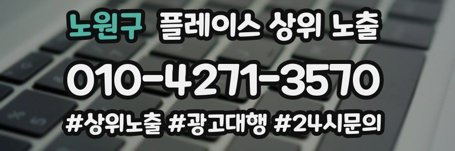 노원구 플레이스 상위 노출 개선