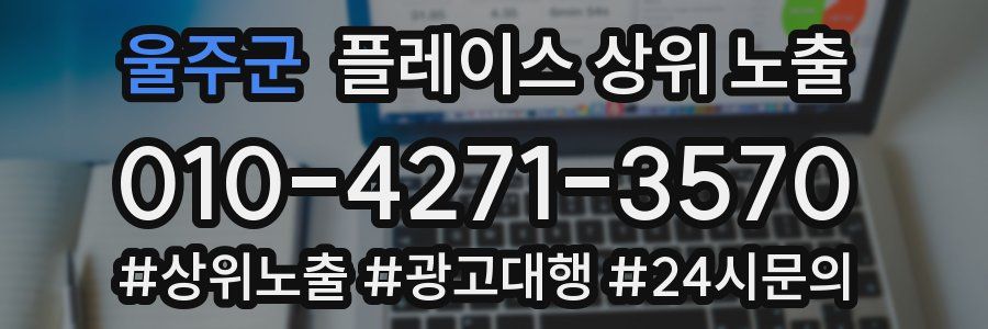 울주군 플레이스 상위 노출 상담