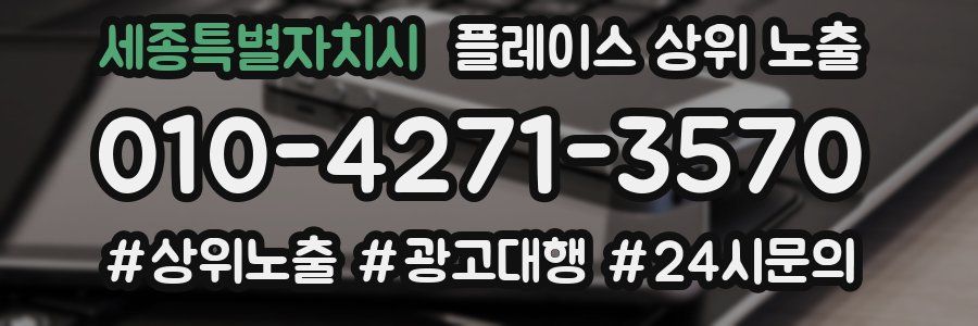 세종특별자치시 플레이스 상위 노출 상담