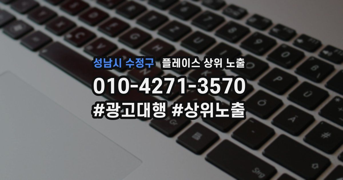 성남시 수정구 플레이스 상위 노출 가이드
