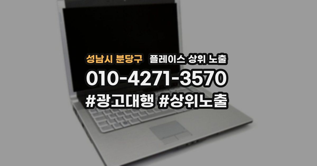 성남시 분당구 플레이스 상위 노출 전략