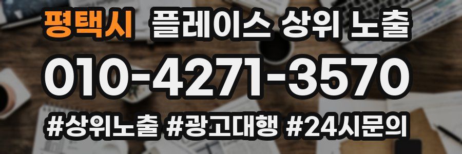 평택시 플레이스 상위 노출 전략
