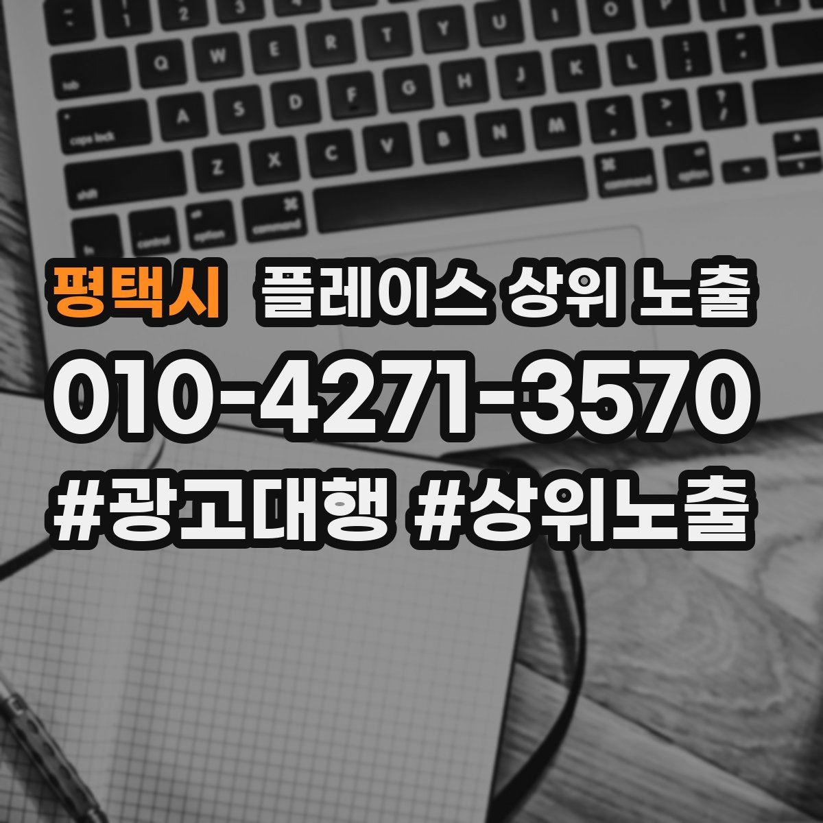 평택시 플레이스 상위 노출 전략