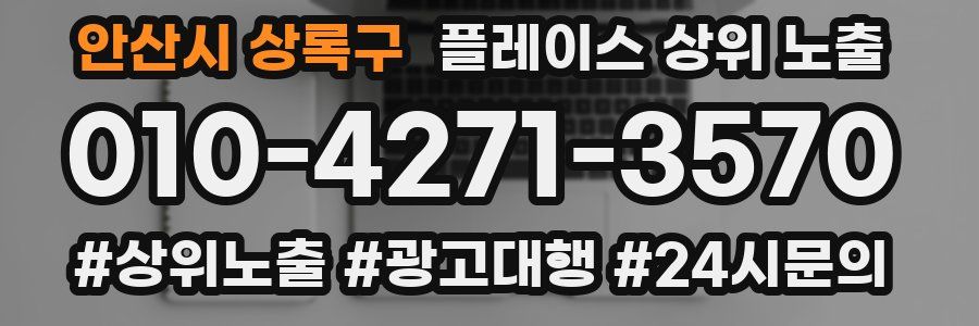 안산시 상록구 플레이스 상위 노출 안내