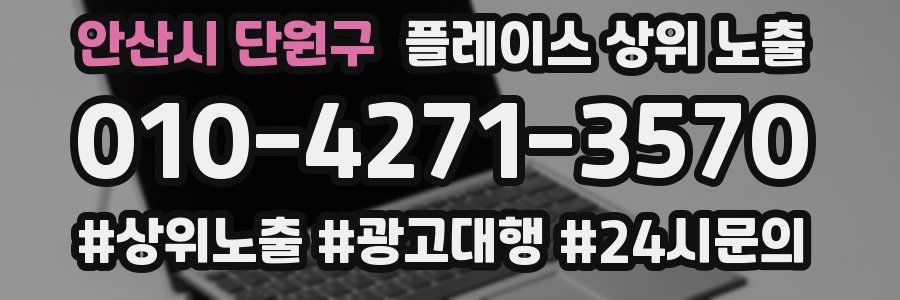 안산시 단원구 플레이스 상위 노출 개선