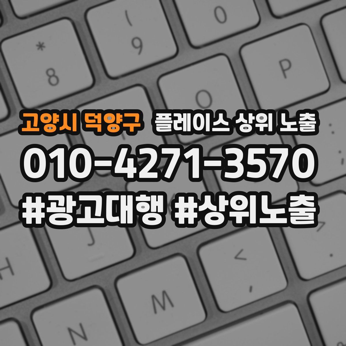 고양시 덕양구 플레이스 상위 노출 상담