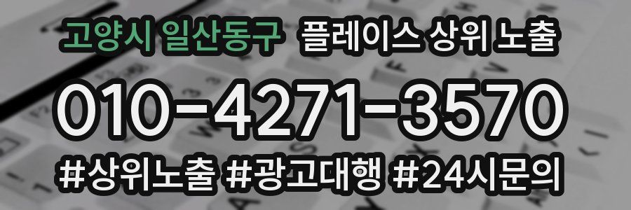 고양시 일산동구 플레이스 상위 노출 가이드