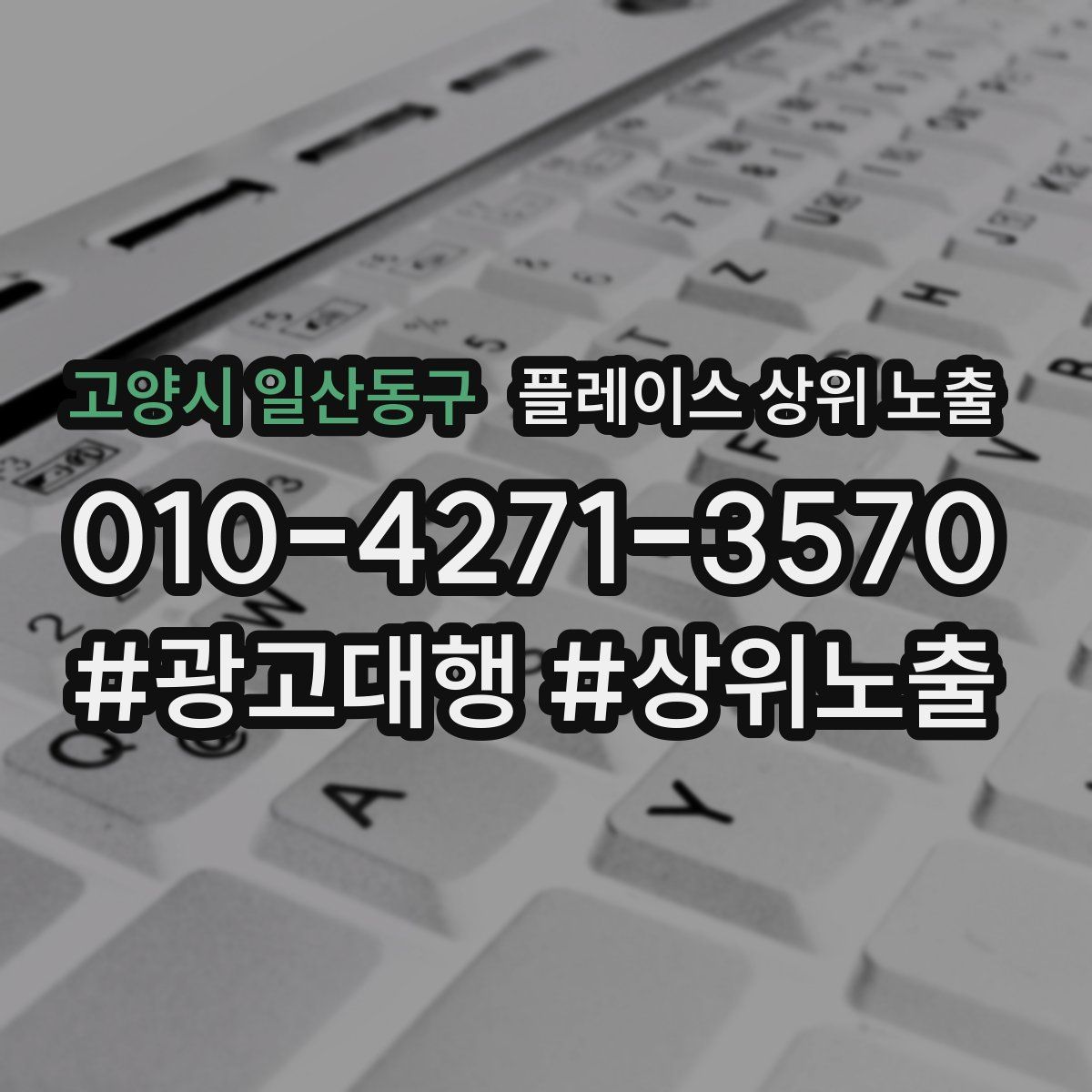 고양시 일산동구 플레이스 상위 노출 상담