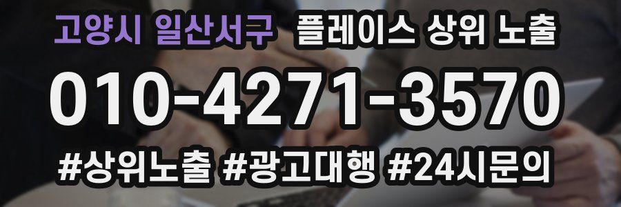 고양시 일산서구 플레이스 상위 노출 상담
