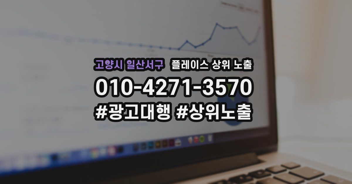 고양시 일산서구 플레이스 상위 노출 상담