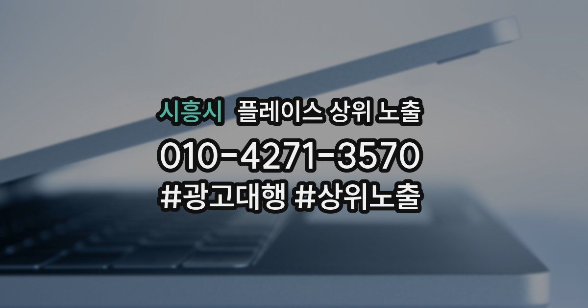 시흥시 플레이스 상위 노출 개선
