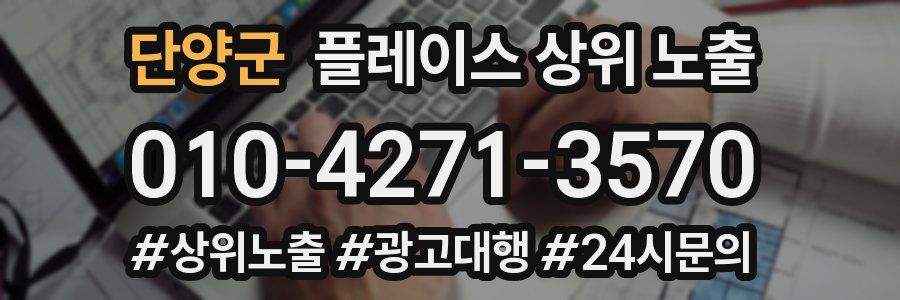 단양군 플레이스 상위 노출 안내