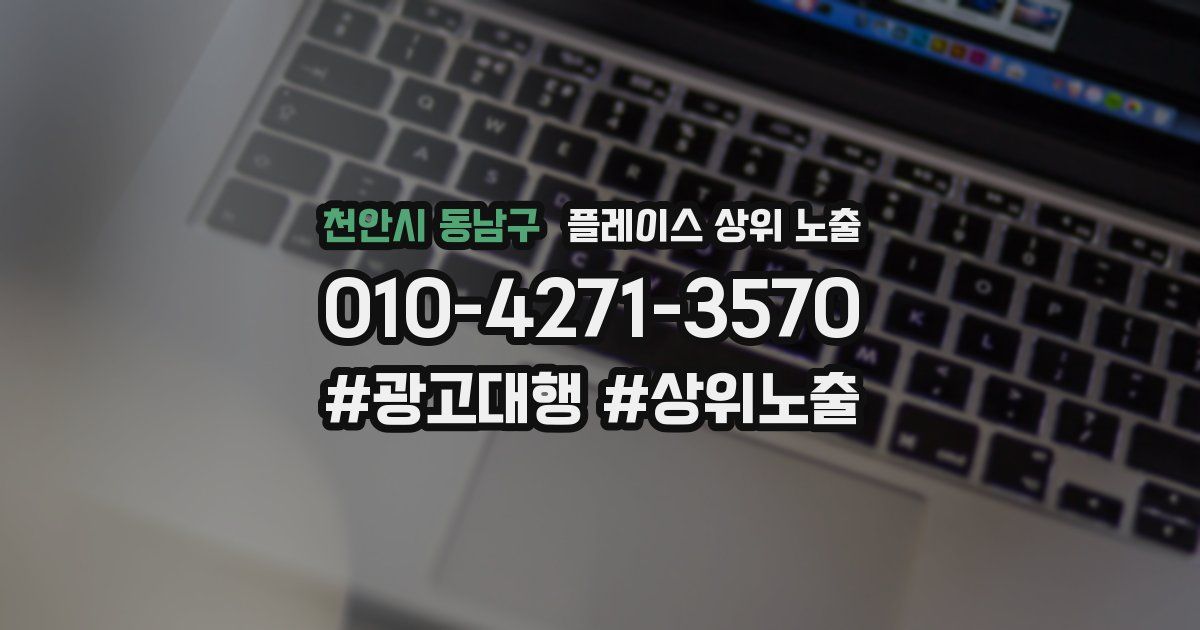 천안시 동남구 플레이스 상위 노출 개선