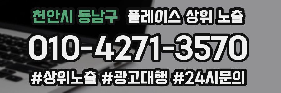 천안시 동남구 플레이스 상위 노출 전략