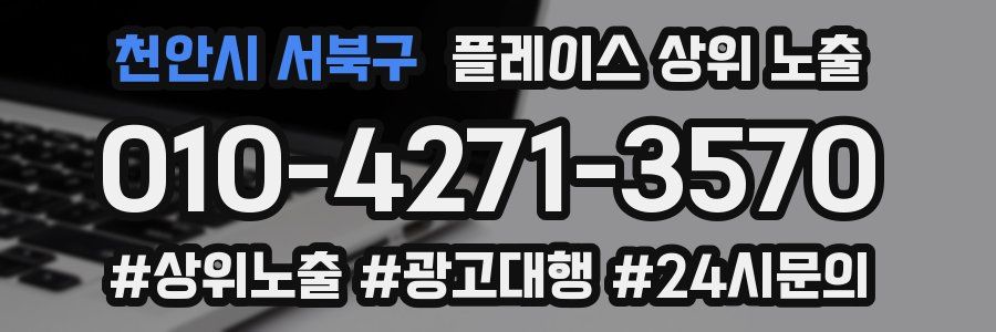천안시 서북구 플레이스 상위 노출 개선