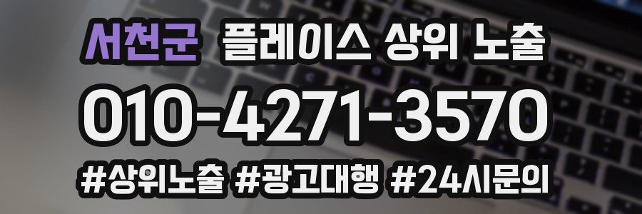 서천군 플레이스 상위 노출