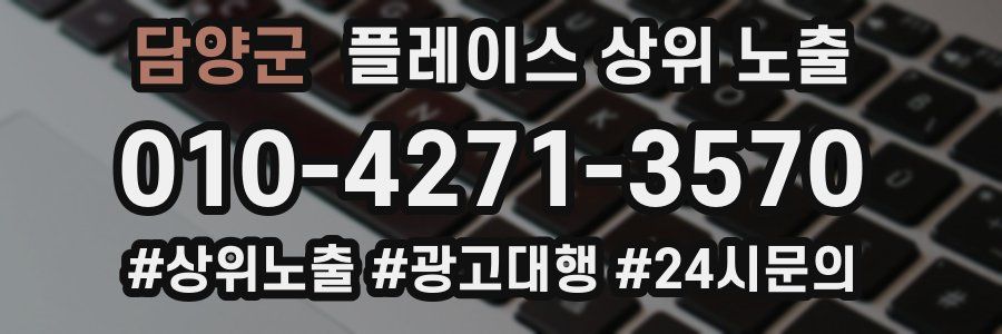 담양군 플레이스 상위 노출 가이드