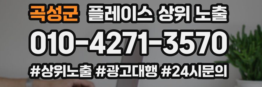 곡성군 플레이스 상위 노출 개선