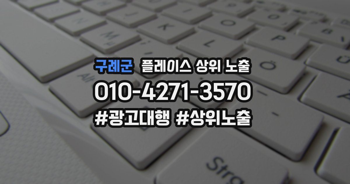 구례군 플레이스 상위 노출 상담