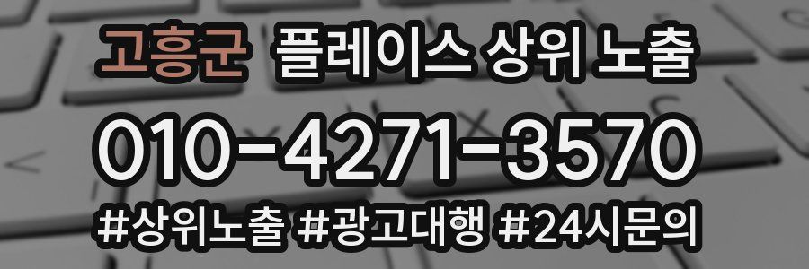 고흥군 플레이스 상위 노출 개선