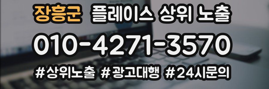 장흥군 플레이스 상위 노출 개선