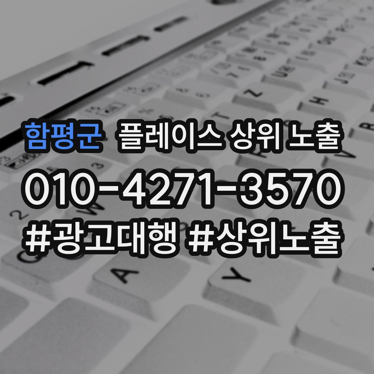 함평군 플레이스 상위 노출 전략