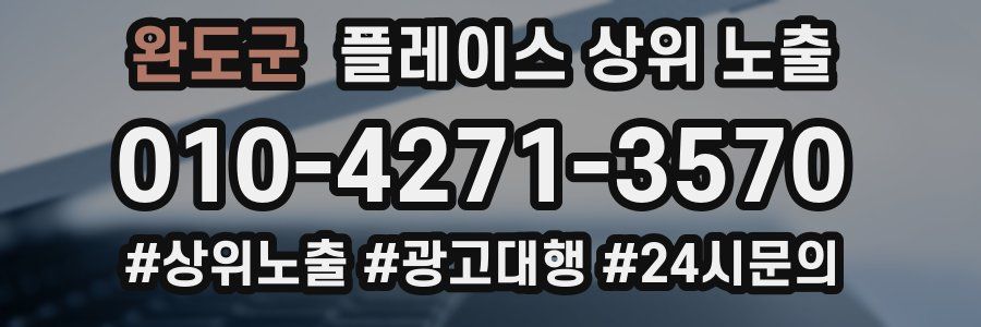완도군 플레이스 상위 노출 상담