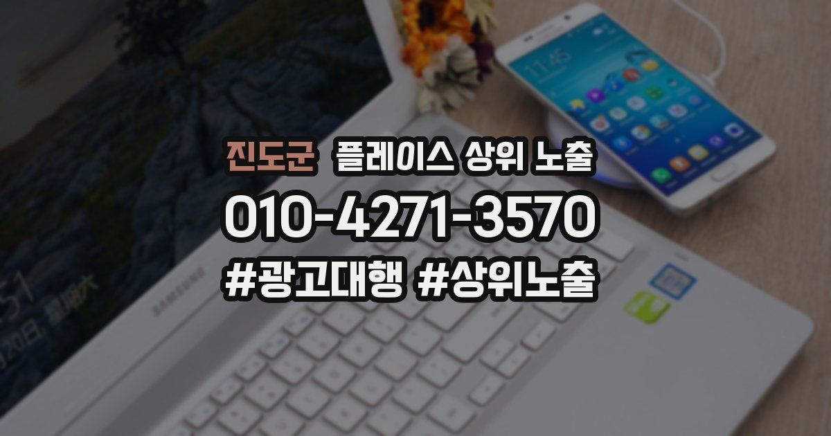 진도군 플레이스 상위 노출