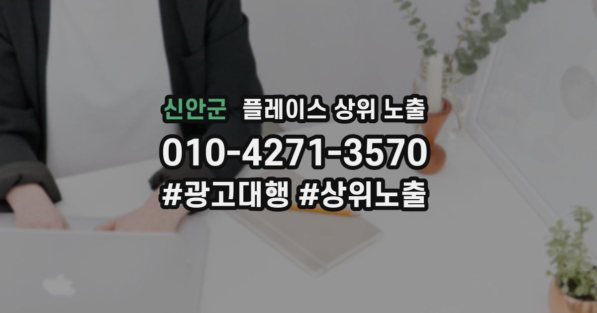 신안군 플레이스 상위 노출 전략