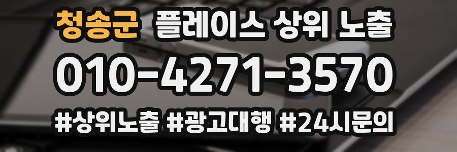 청송군 플레이스 상위 노출