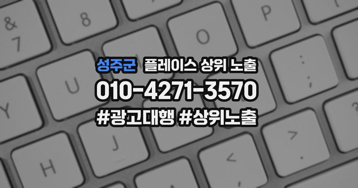 성주군 플레이스 상위 노출 상담