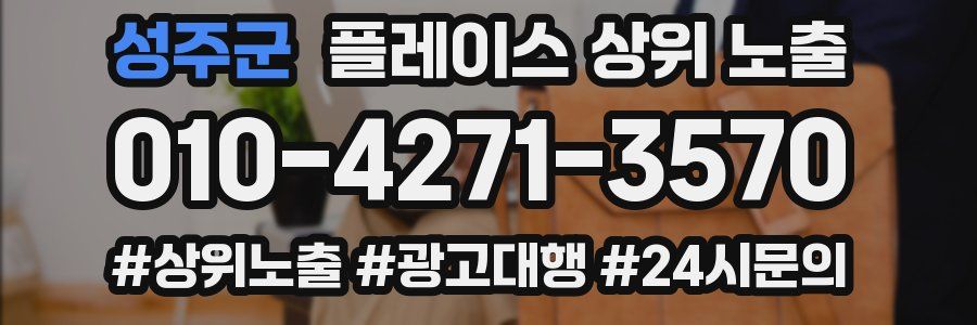 성주군 플레이스 상위 노출 상담