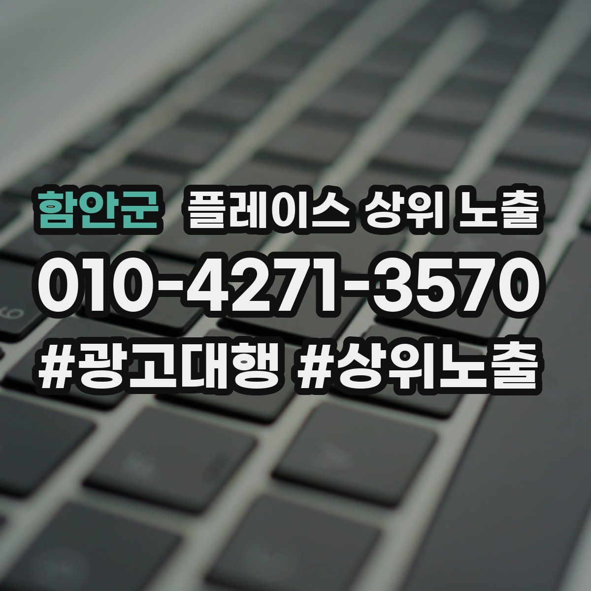 함안군 플레이스 상위 노출 개선