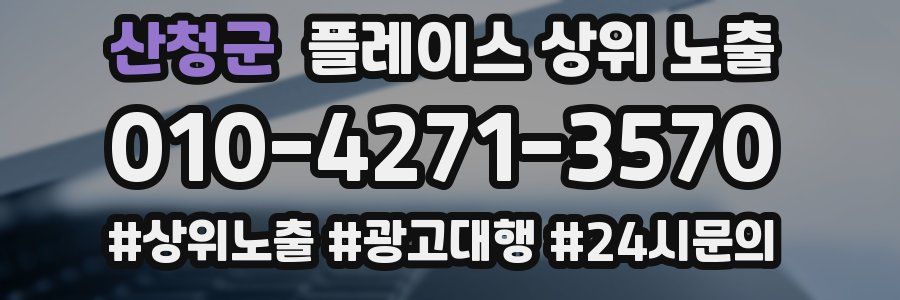 산청군 플레이스 상위 노출 상담
