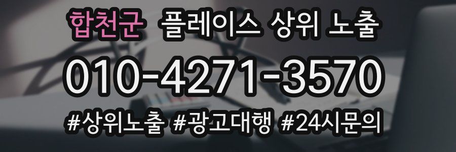 합천군 플레이스 상위 노출 상담