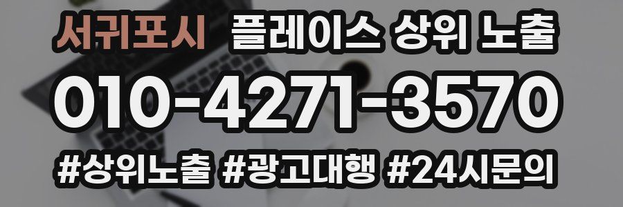 서귀포시 플레이스 상위 노출 안내