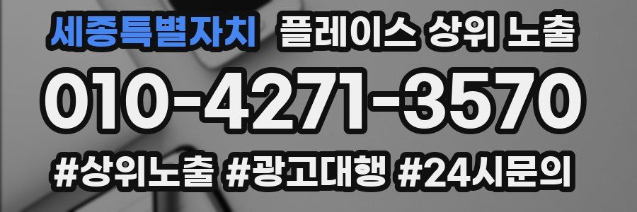 세종특별자치 플레이스 상위 노출 상담